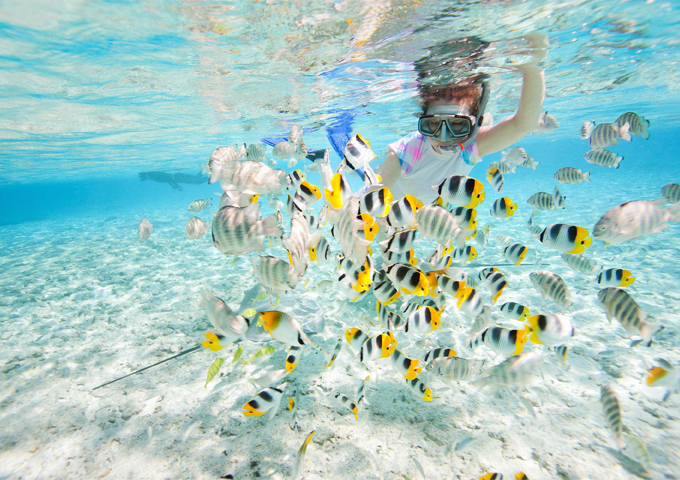 snorkeling-to-see-the-world-of-ocean