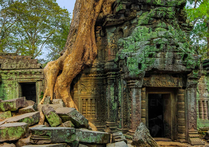 tree-root-on-gopura-entrance-at-12th-century-temple-ta-prohm