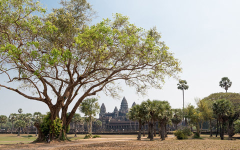 The Best Time to Visit Angkor Wat of Cambodia for 2024