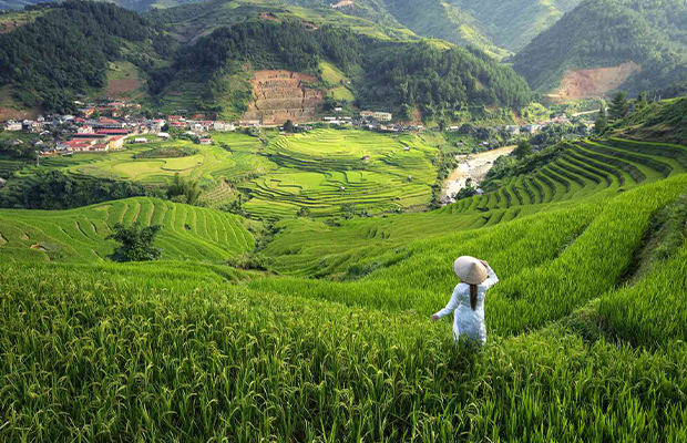 7 Days Northern Vietnam Historical & Natural Tour Package