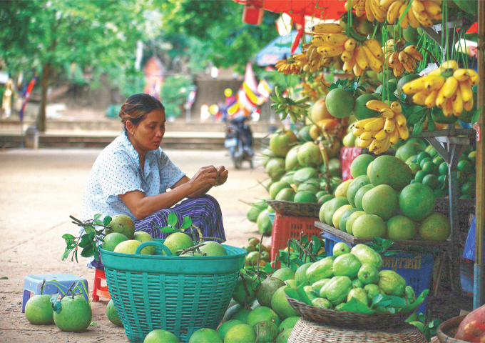 a-woman-preparing-fruits-for-sale-at-phnom-banon