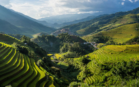 8 Things Need to Know about Vietnam Rice Paddy Fields