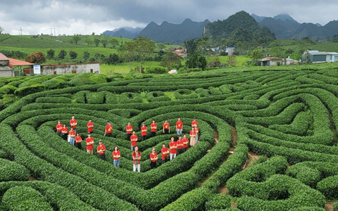 How to Visit Vietnam in January? Ultimate Weather Guide and Advice